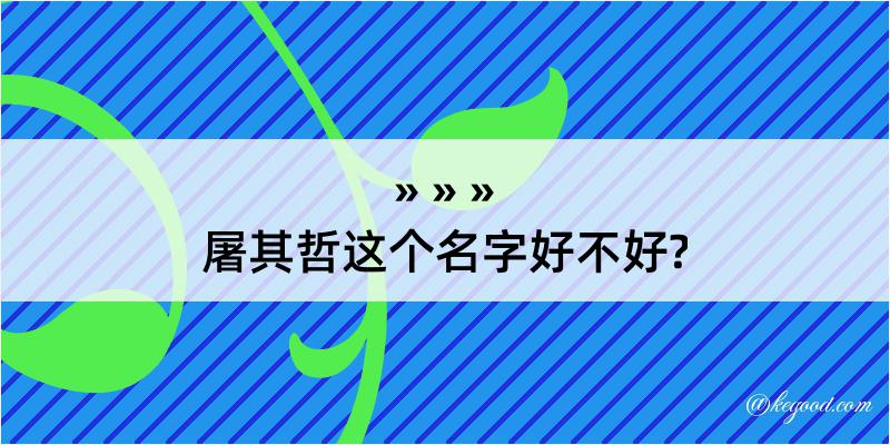 屠其哲这个名字好不好?