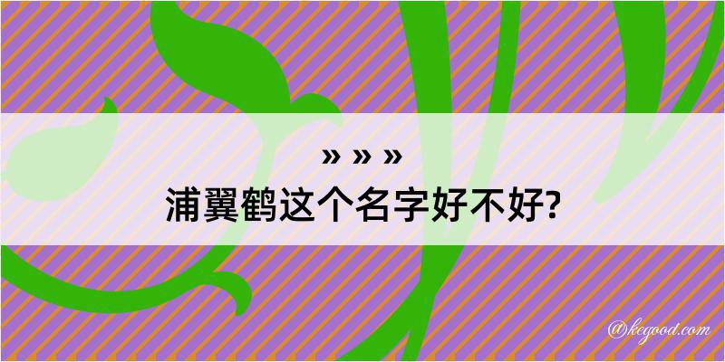 浦翼鹤这个名字好不好?