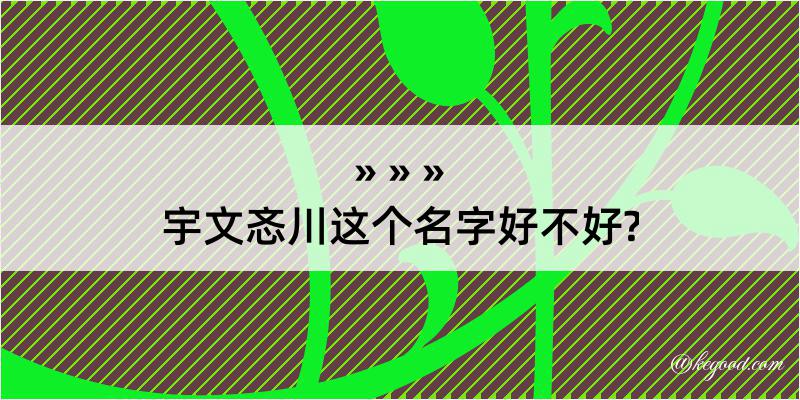 宇文忞川这个名字好不好?