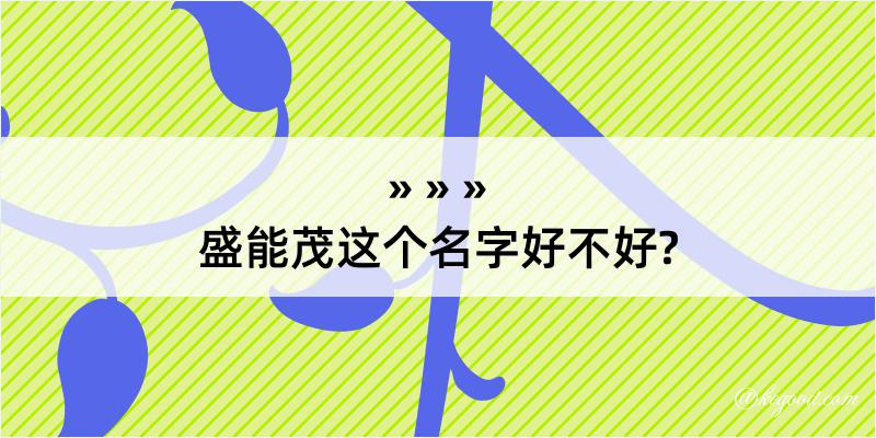 盛能茂这个名字好不好?