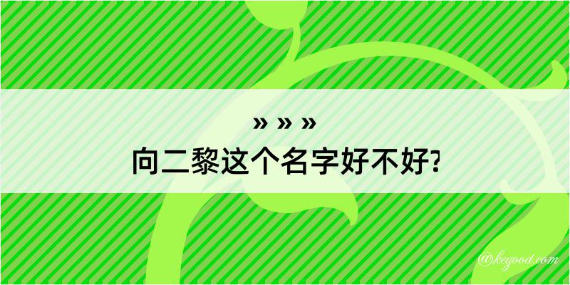 向二黎这个名字好不好?