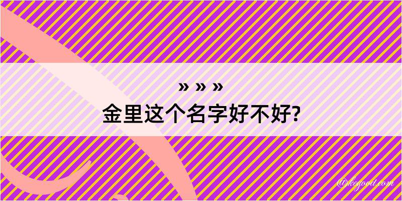 金里这个名字好不好?