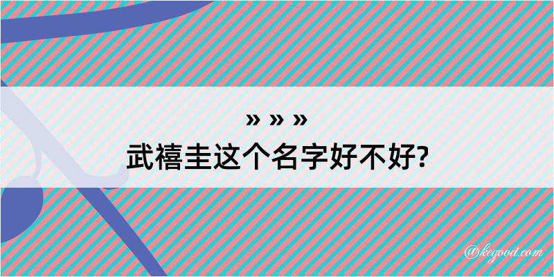 武禧圭这个名字好不好?