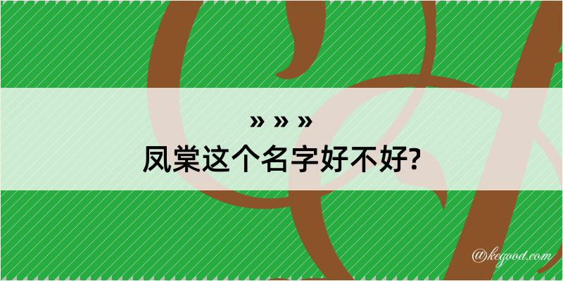 凤棠这个名字好不好?