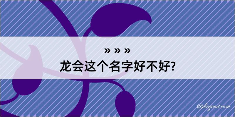 龙会这个名字好不好?