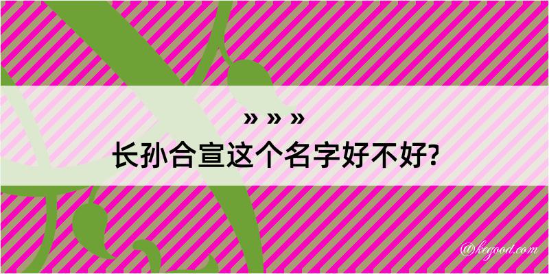 长孙合宣这个名字好不好?