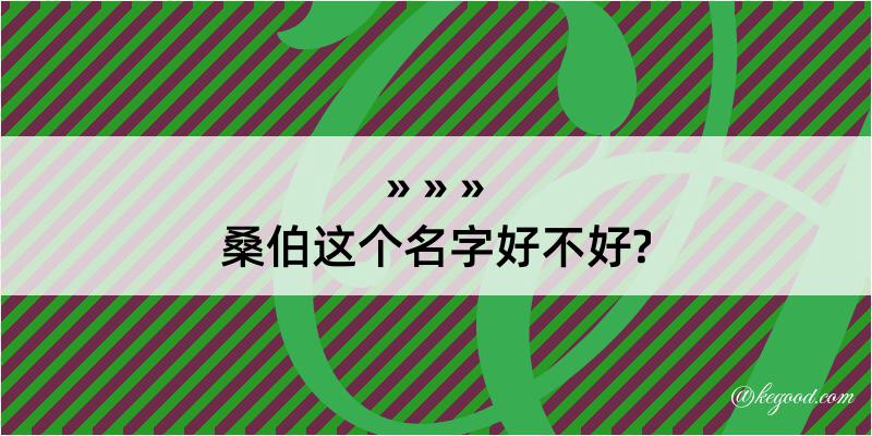 桑伯这个名字好不好?