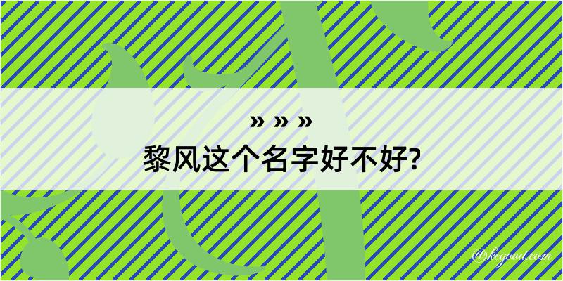 黎风这个名字好不好?