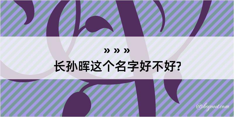 长孙晖这个名字好不好?