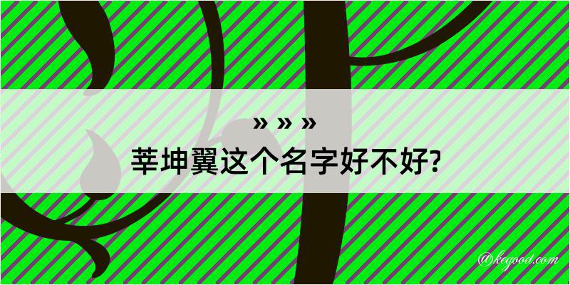 莘坤翼这个名字好不好?