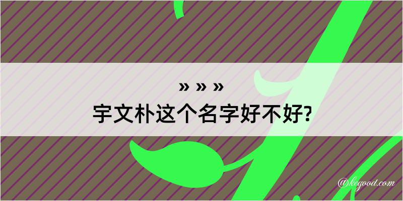 宇文朴这个名字好不好?