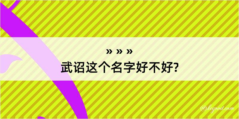 武诏这个名字好不好?