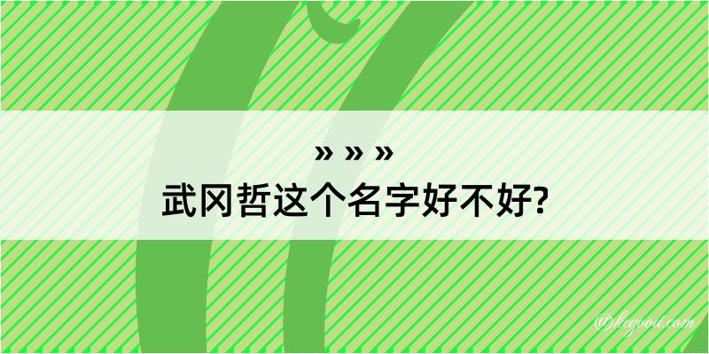 武冈哲这个名字好不好?