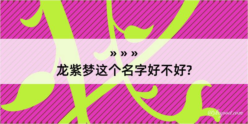 龙紫梦这个名字好不好?