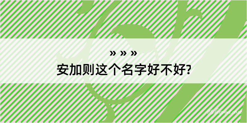 安加则这个名字好不好?