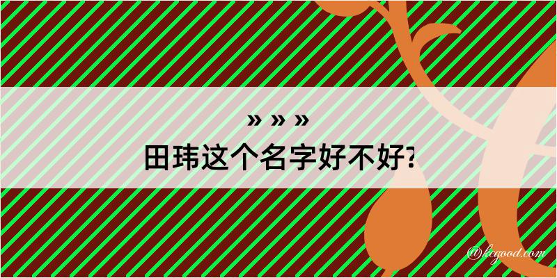 田玮这个名字好不好?