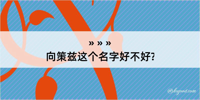 向策兹这个名字好不好?