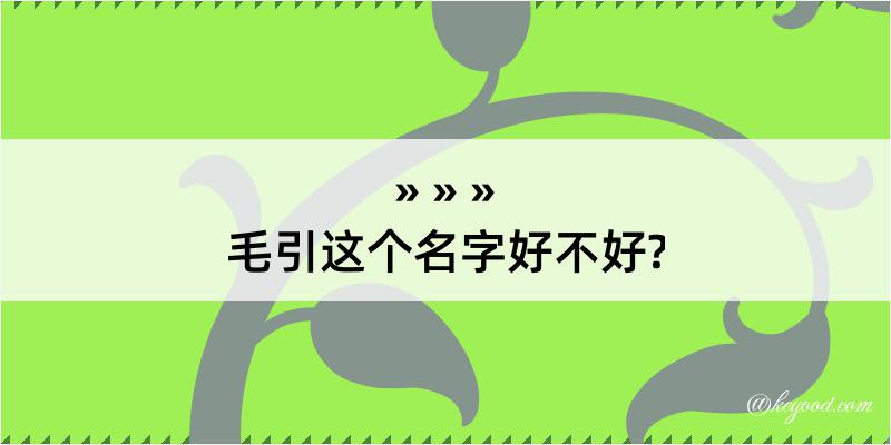 毛引这个名字好不好?