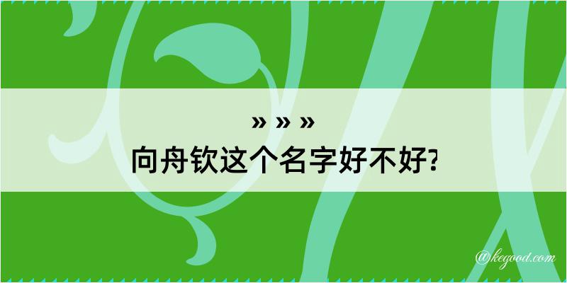 向舟钦这个名字好不好?