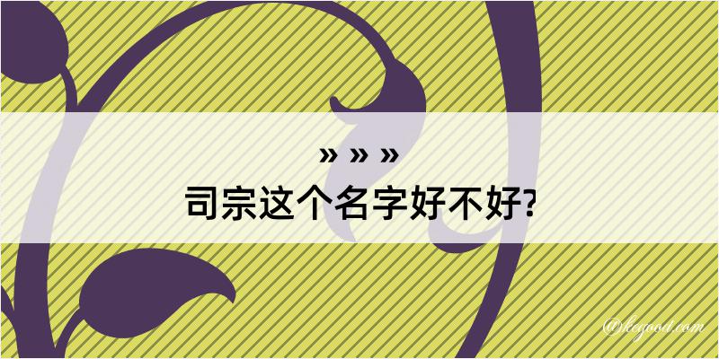 司宗这个名字好不好?