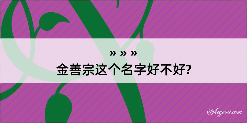 金善宗这个名字好不好?