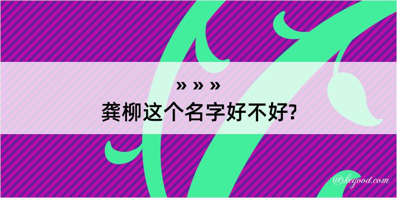 龚柳这个名字好不好?