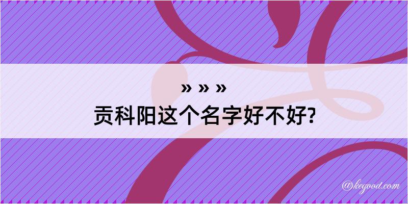 贡科阳这个名字好不好?