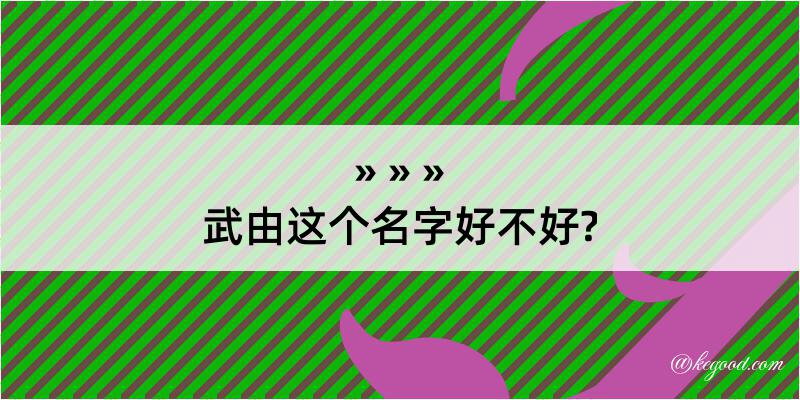 武由这个名字好不好?