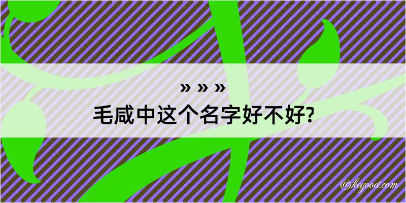 毛咸中这个名字好不好?