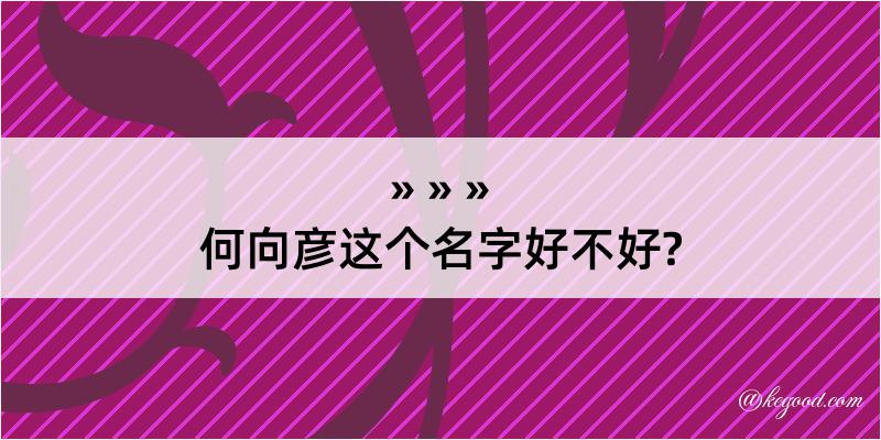 何向彦这个名字好不好?