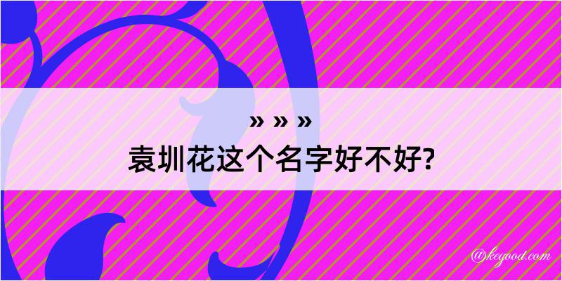 袁圳花这个名字好不好?