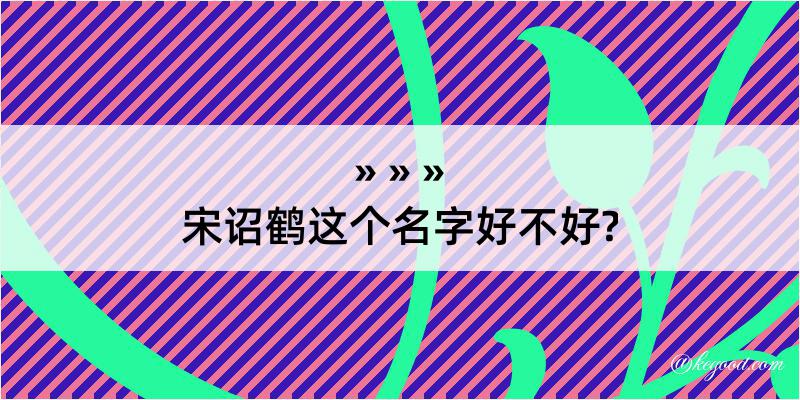 宋诏鹤这个名字好不好?