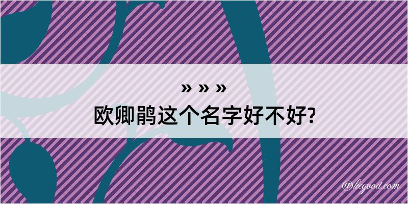 欧卿鹃这个名字好不好?