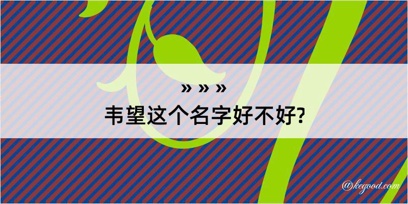 韦望这个名字好不好?