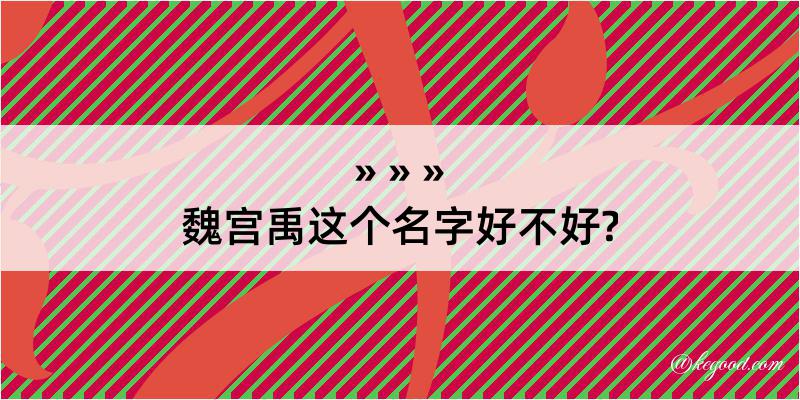 魏宫禹这个名字好不好?