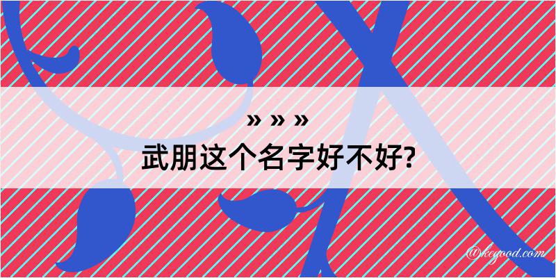 武朋这个名字好不好?