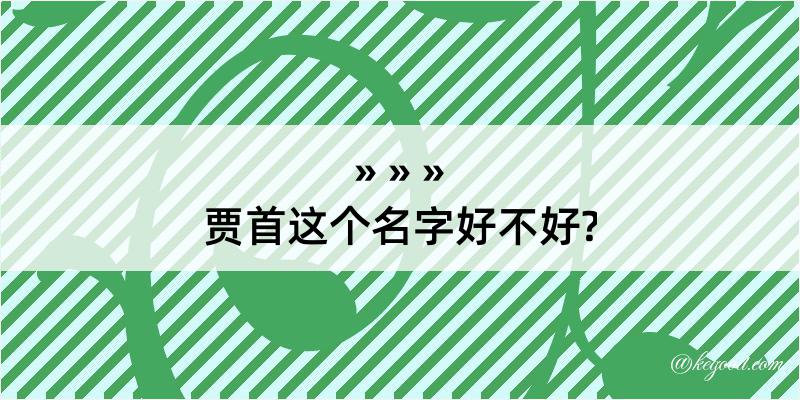 贾首这个名字好不好?