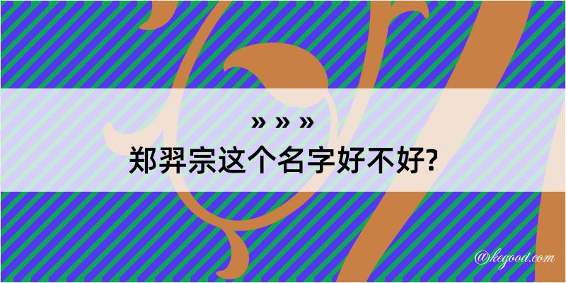 郑羿宗这个名字好不好?