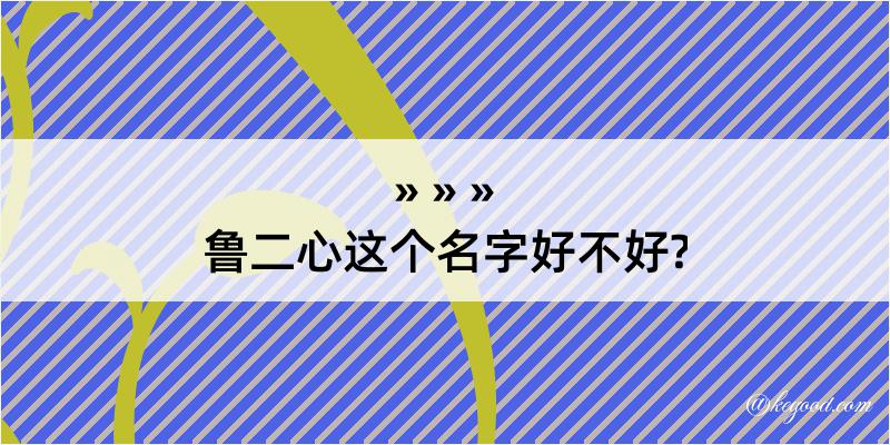 鲁二心这个名字好不好?