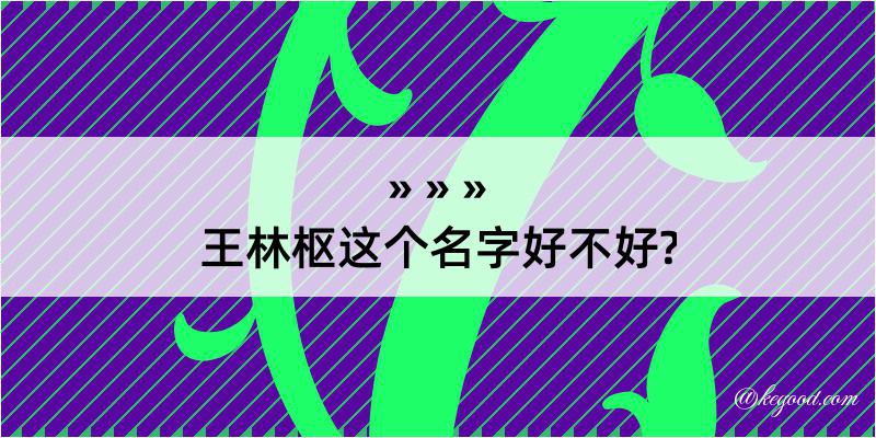 王林枢这个名字好不好?