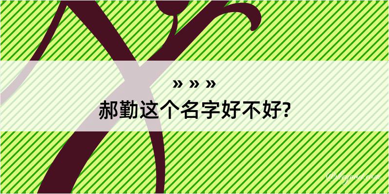 郝勤这个名字好不好?