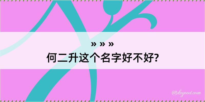 何二升这个名字好不好?