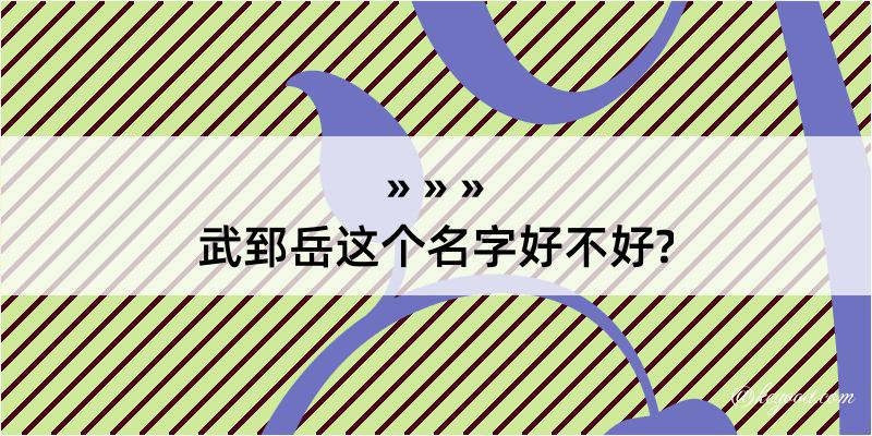 武郅岳这个名字好不好?