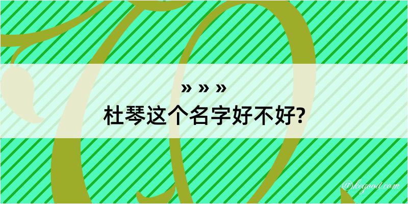 杜琴这个名字好不好?