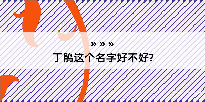 丁鹃这个名字好不好?