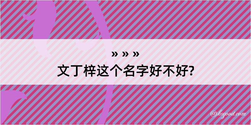 文丁梓这个名字好不好?