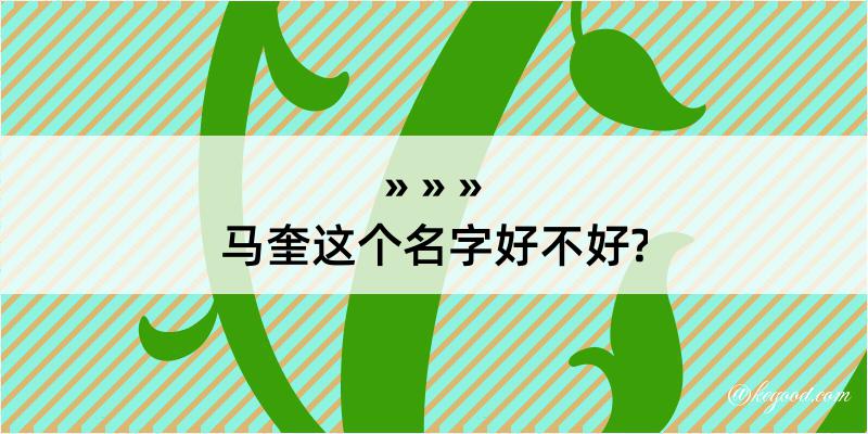 马奎这个名字好不好?