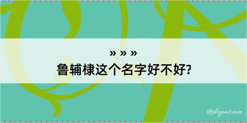 鲁辅棣这个名字好不好?