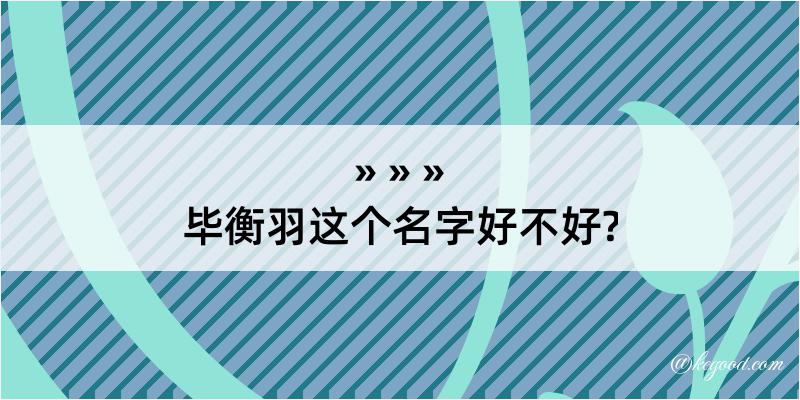 毕衡羽这个名字好不好?