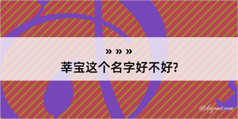 莘宝这个名字好不好?